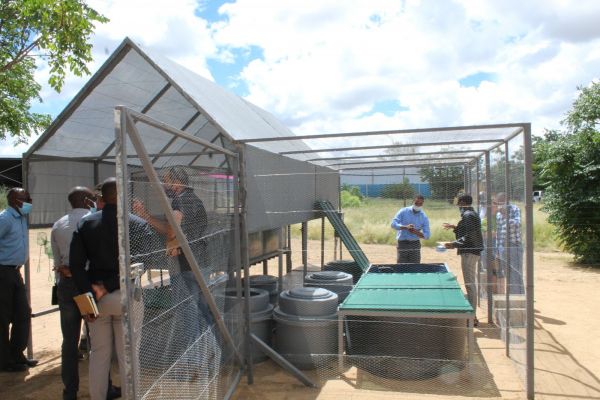 EIF assists Think Namibia Aquaponics Systems Project