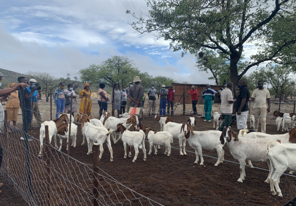 IREMA hands over goats, fodder and fuel efficient valued at N$ 3.2 million