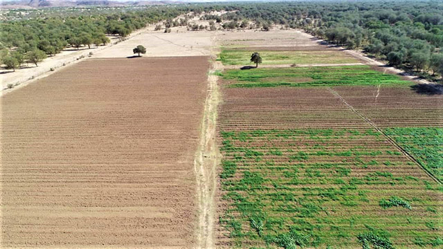 Windhoek acts on climate change