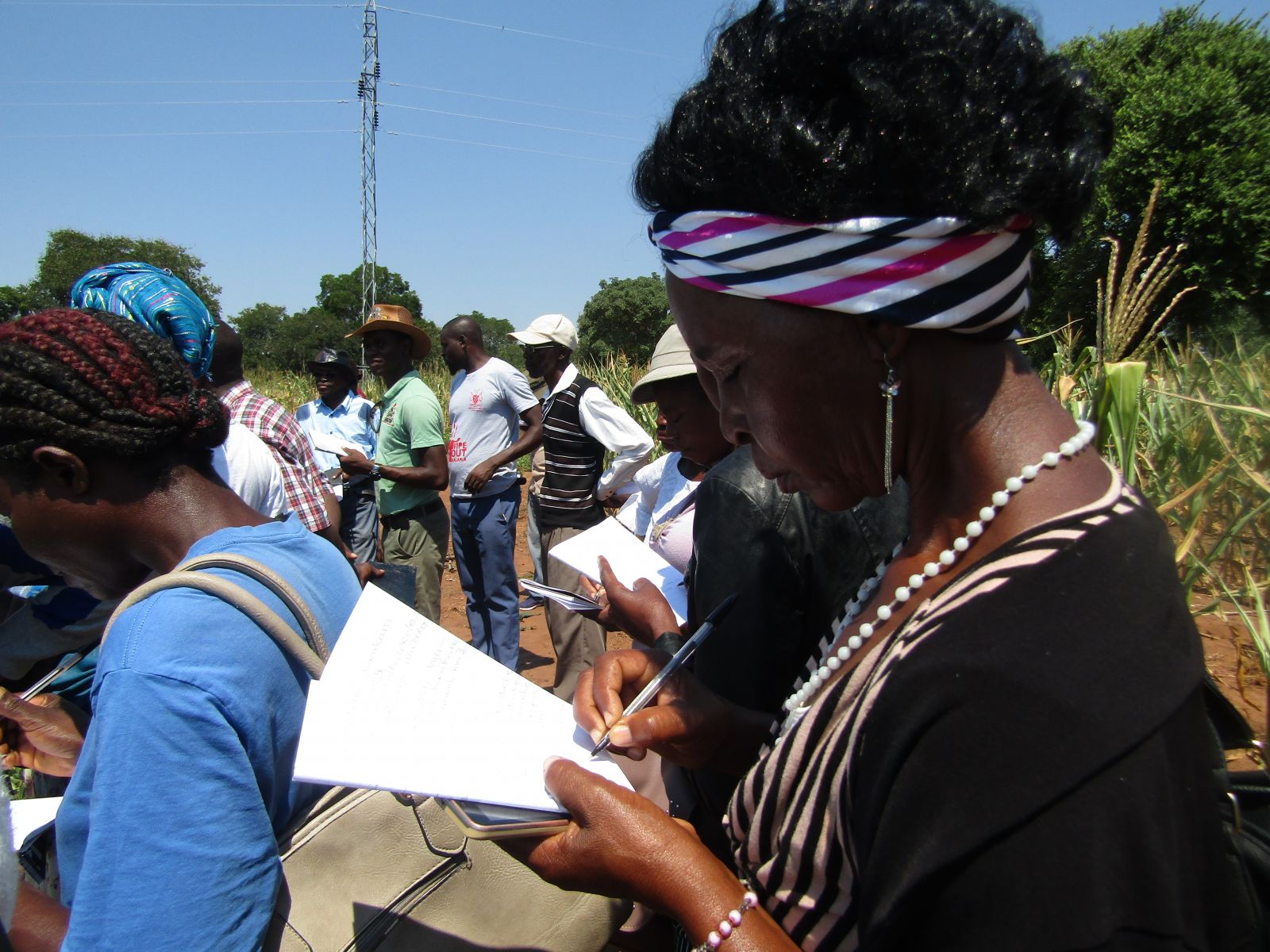 Conservation Agriculture: Learning and Adapting Together