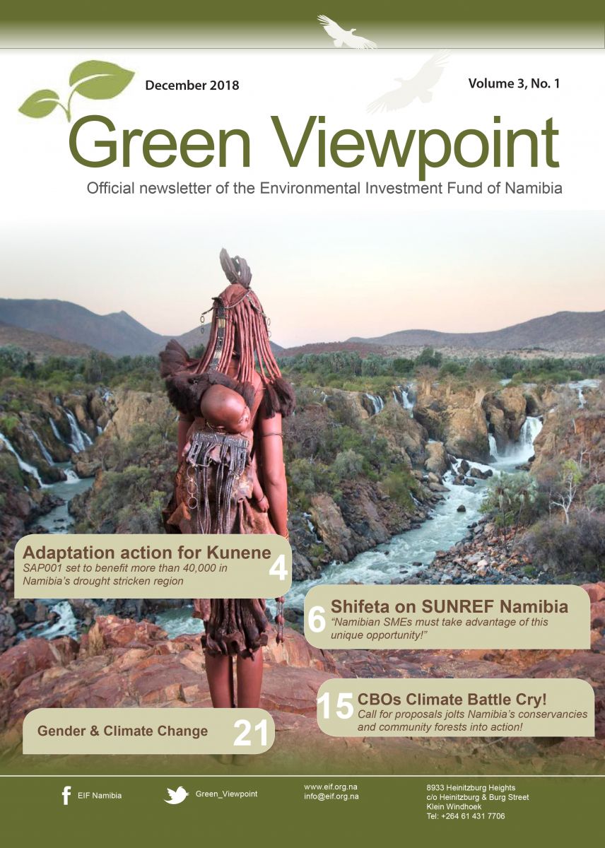 GreenViewpoint Newsletter Summer edition