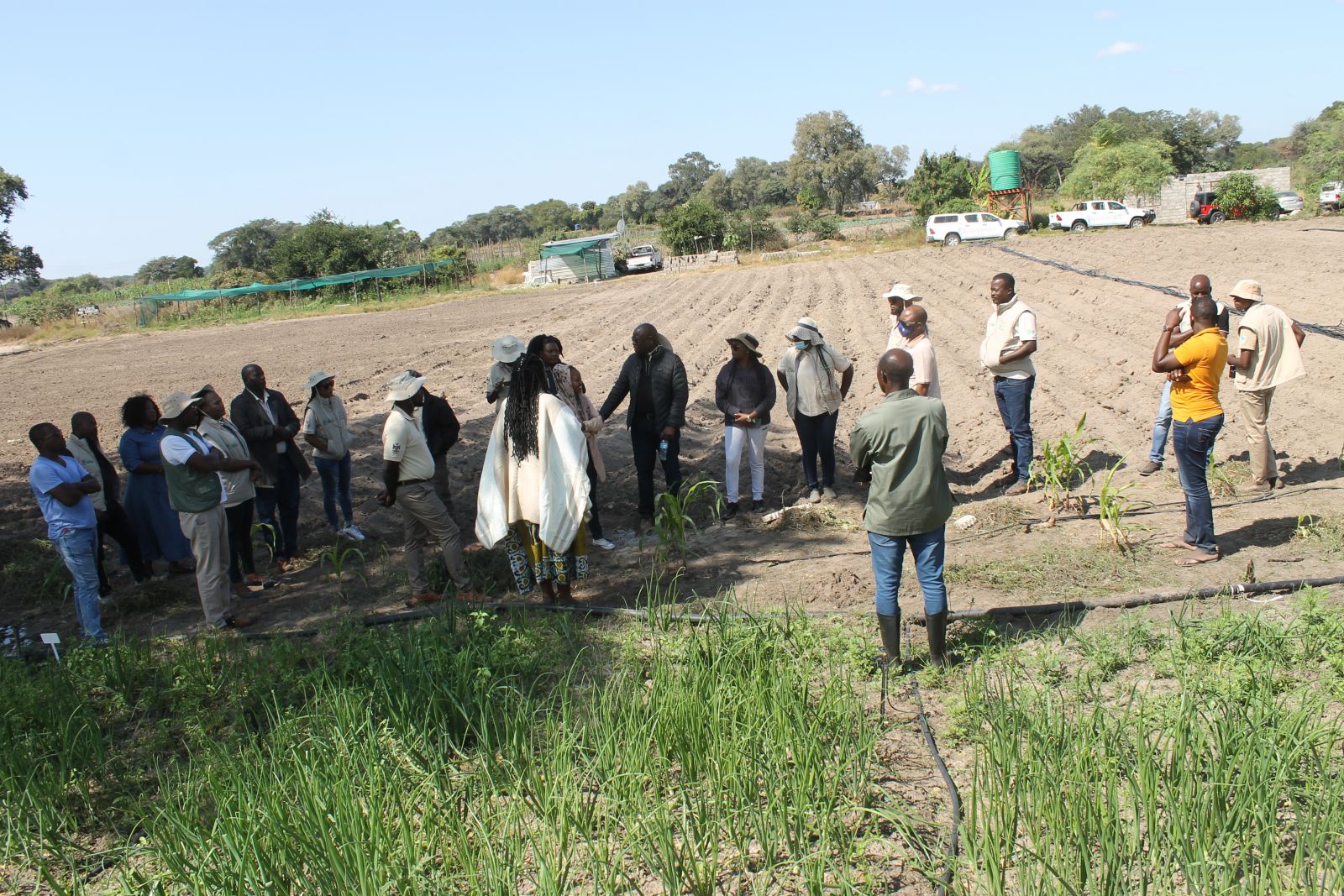 CRAVE and IREMA PSC Story_Reviewed_ SNN