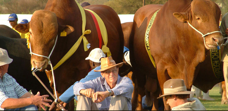 Windhoek Industrial and Agricultural Show