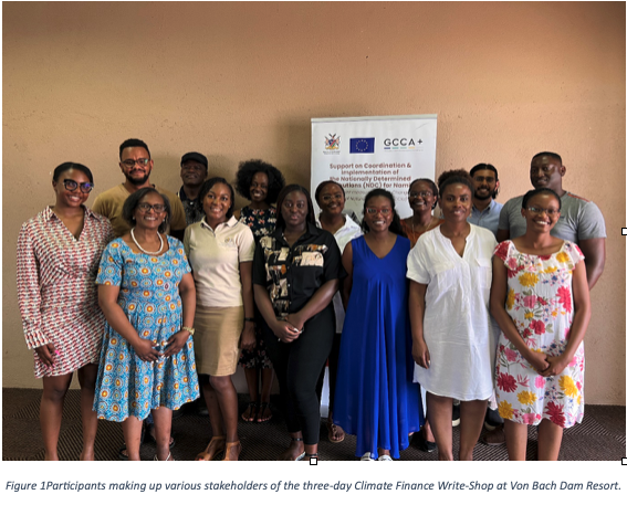 Climate Finance Partners Host Write-Shop