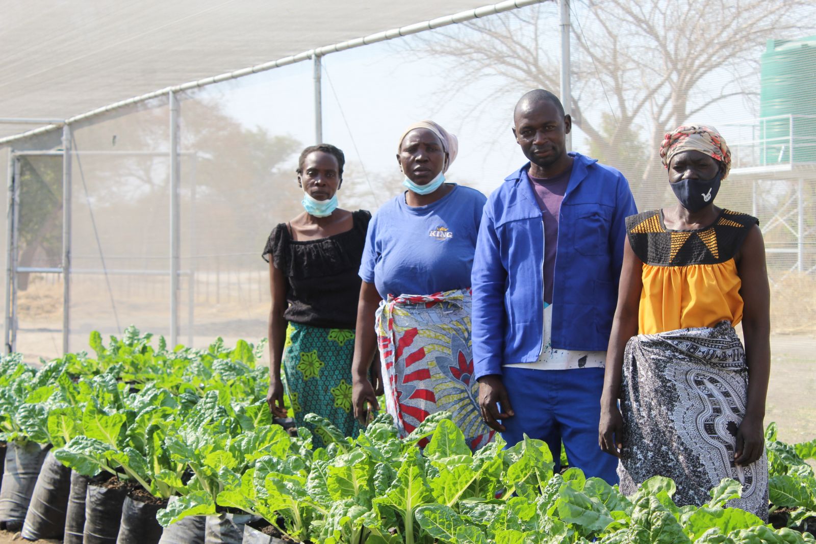 STORY: Scaling Up Green Financing at Sikanjabuka